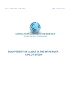 Biodiversity of Algae in the Mithi River